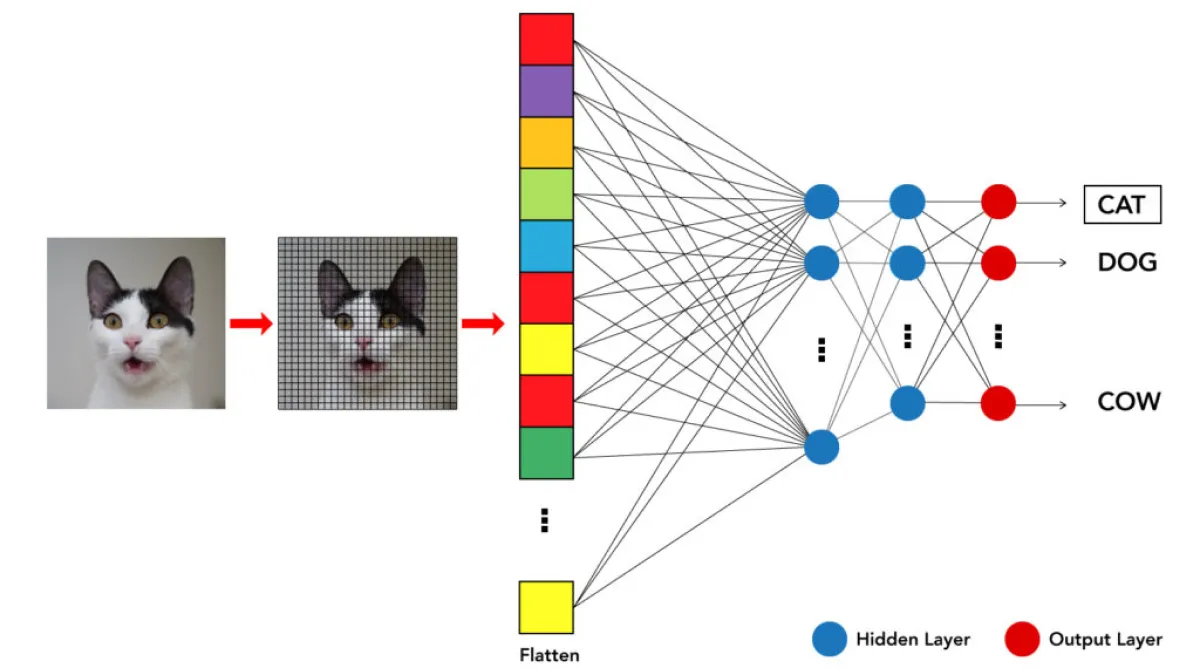 Image recognition system identifying objects with Machine Learning algorithms